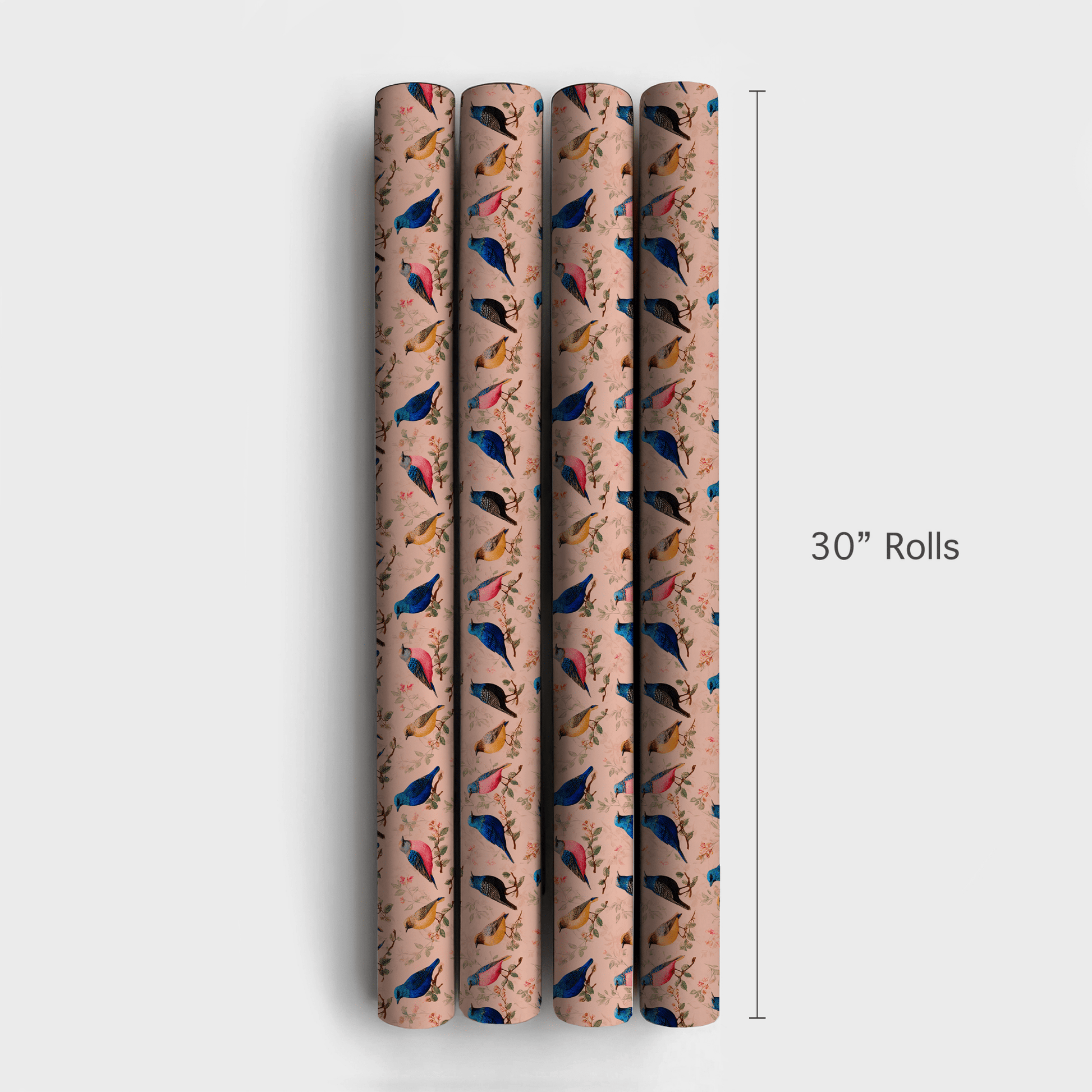 Posh Feathers - Wrapping Paper - Aspen & Arlo