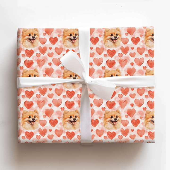 Pomeranian Valentine - Wrapping Paper - Aspen & Arlo