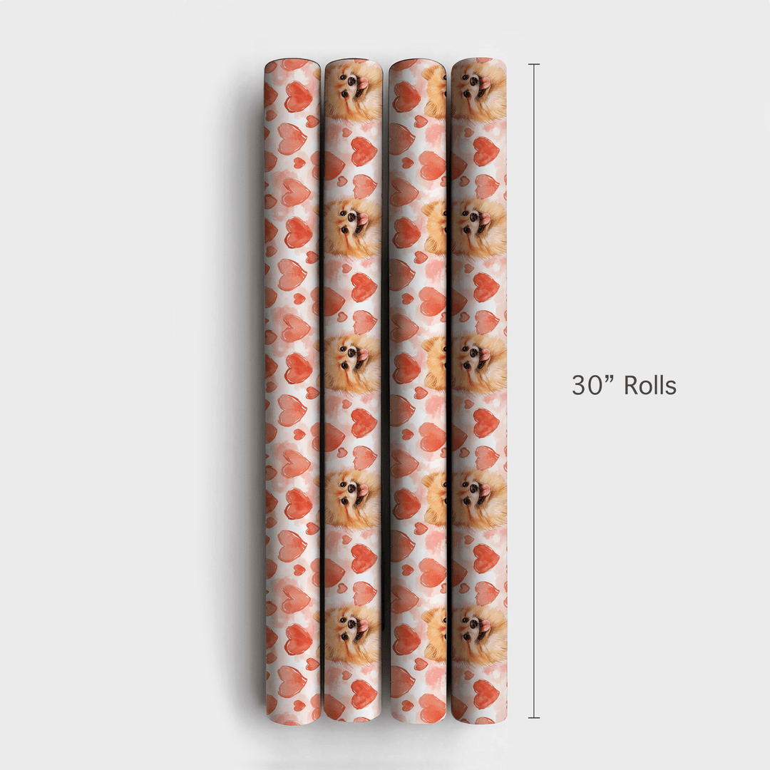 Pomeranian Valentine - Wrapping Paper - Aspen & Arlo