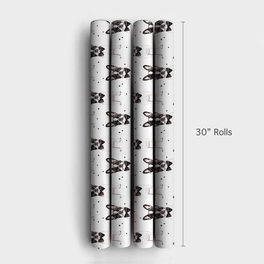 Black Tie with the Boston Terriers - Wrapping Paper - Aspen & Arlo