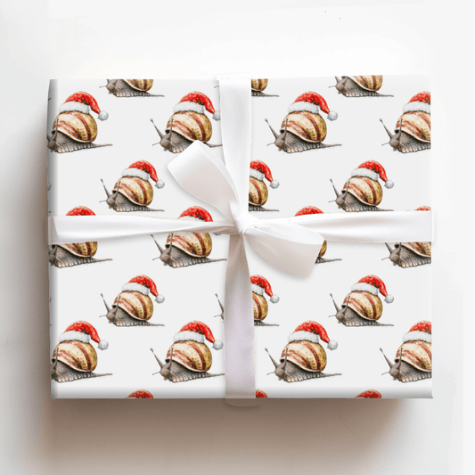 Snail Holiday - Wrapping Paper - Aspen & Arlo