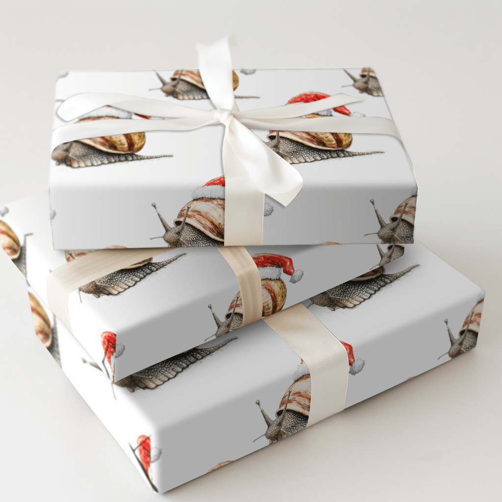 Snail Holiday - Wrapping Paper - Aspen & Arlo