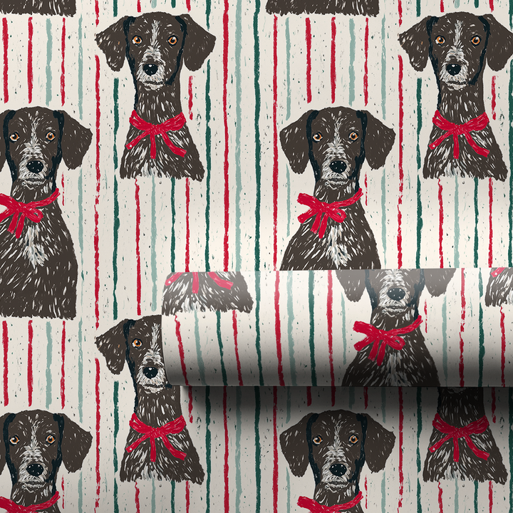 Plott Peppermint Party