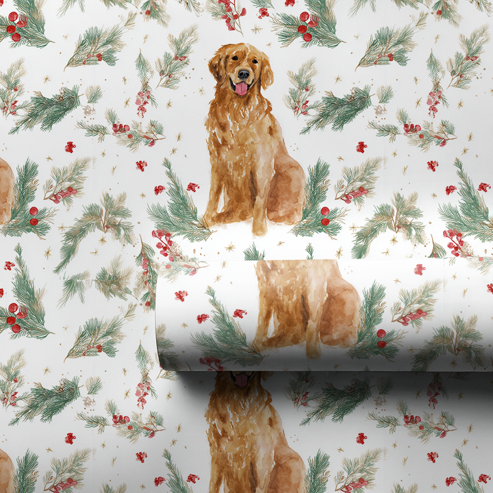 Golden Retriever Holly