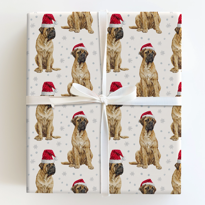 Baby Bullmastiff Claus