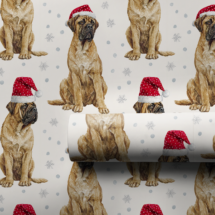 Baby Bullmastiff Claus