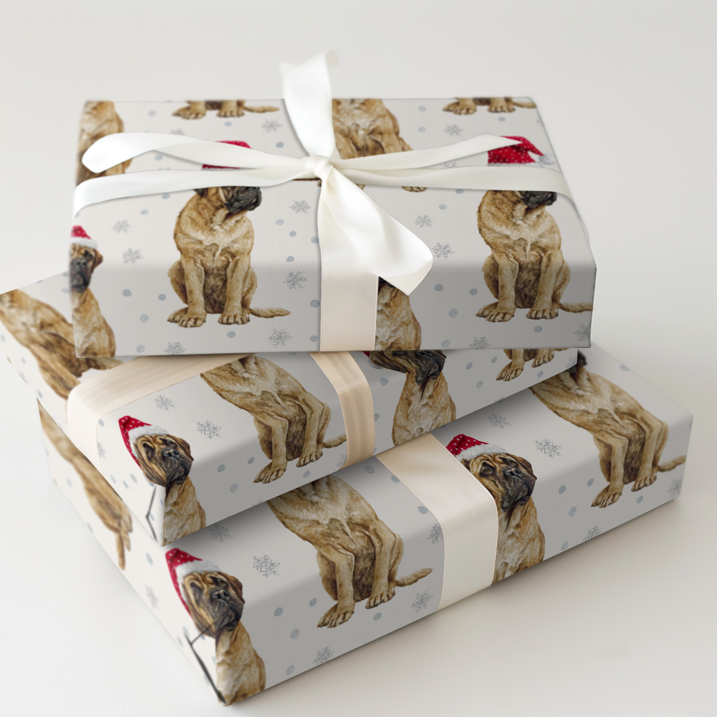 Baby Bullmastiff Claus