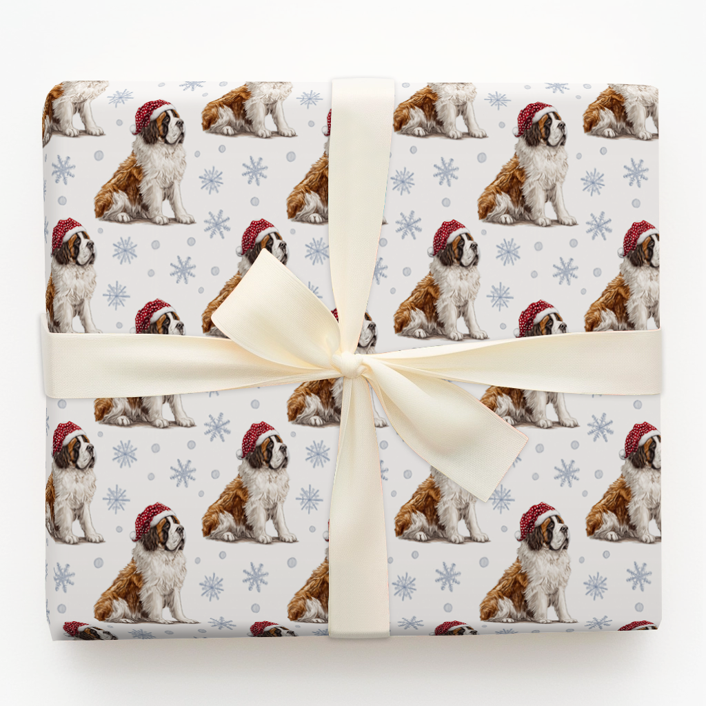 Snowy Saint Bernards