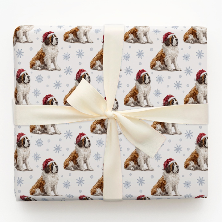 Snowy Saint Bernards