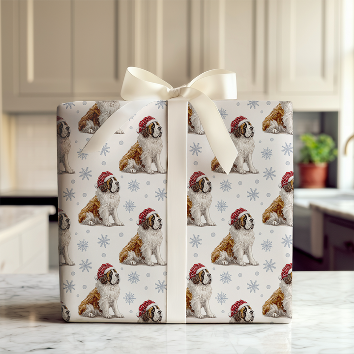Snowy Saint Bernards