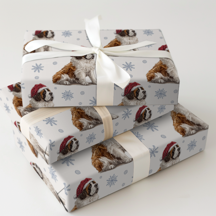 Snowy Saint Bernards