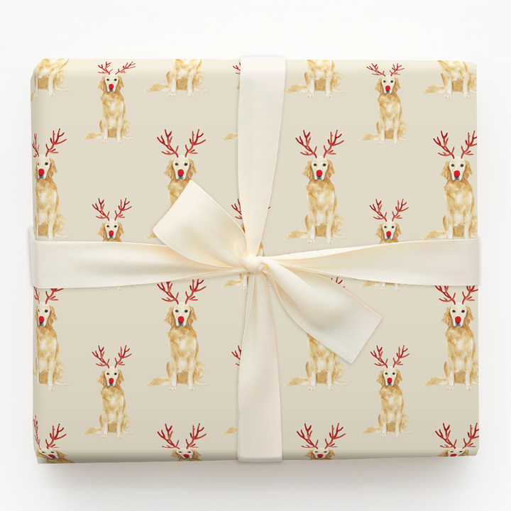 Rudolph Golden Retrievers