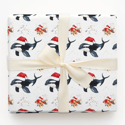 Shamu Season - Wrapping Paper - Aspen & Arlo