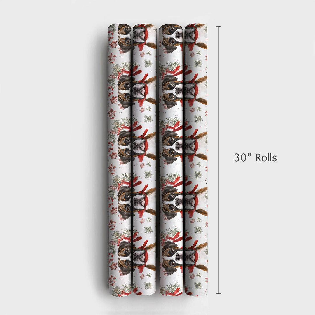 Boxed a Boxer - 4 Rolls