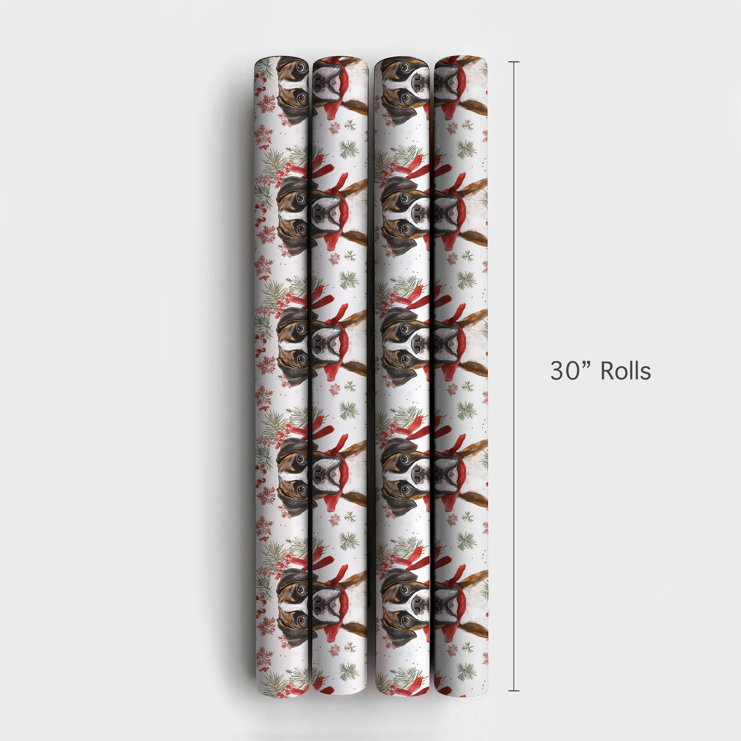 Boxed a Boxer - 4 Rolls