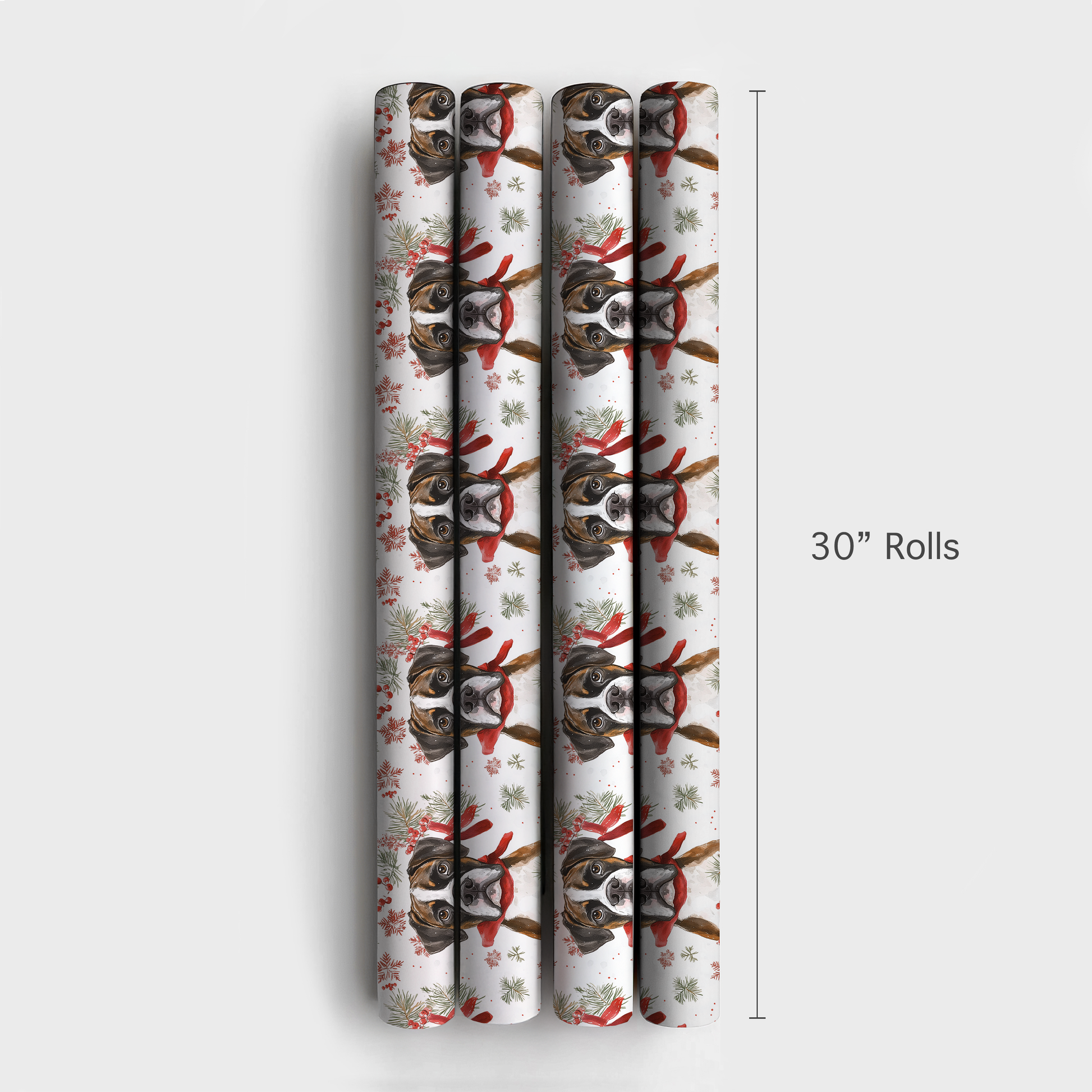 Boxed a Boxer - 4 Rolls