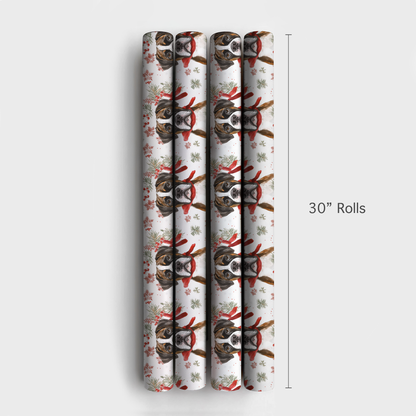 Boxed a Boxer - 4 Rolls