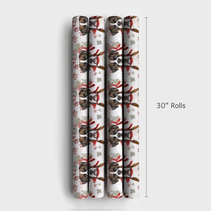 Boxed a Boxer - 4 Rolls