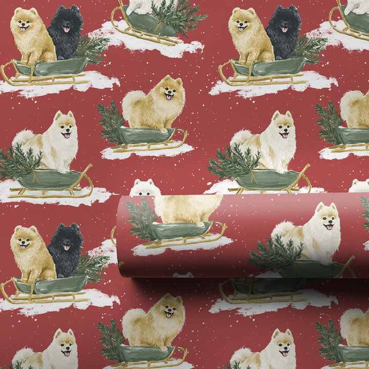 Pomeranian Sleigh Ride