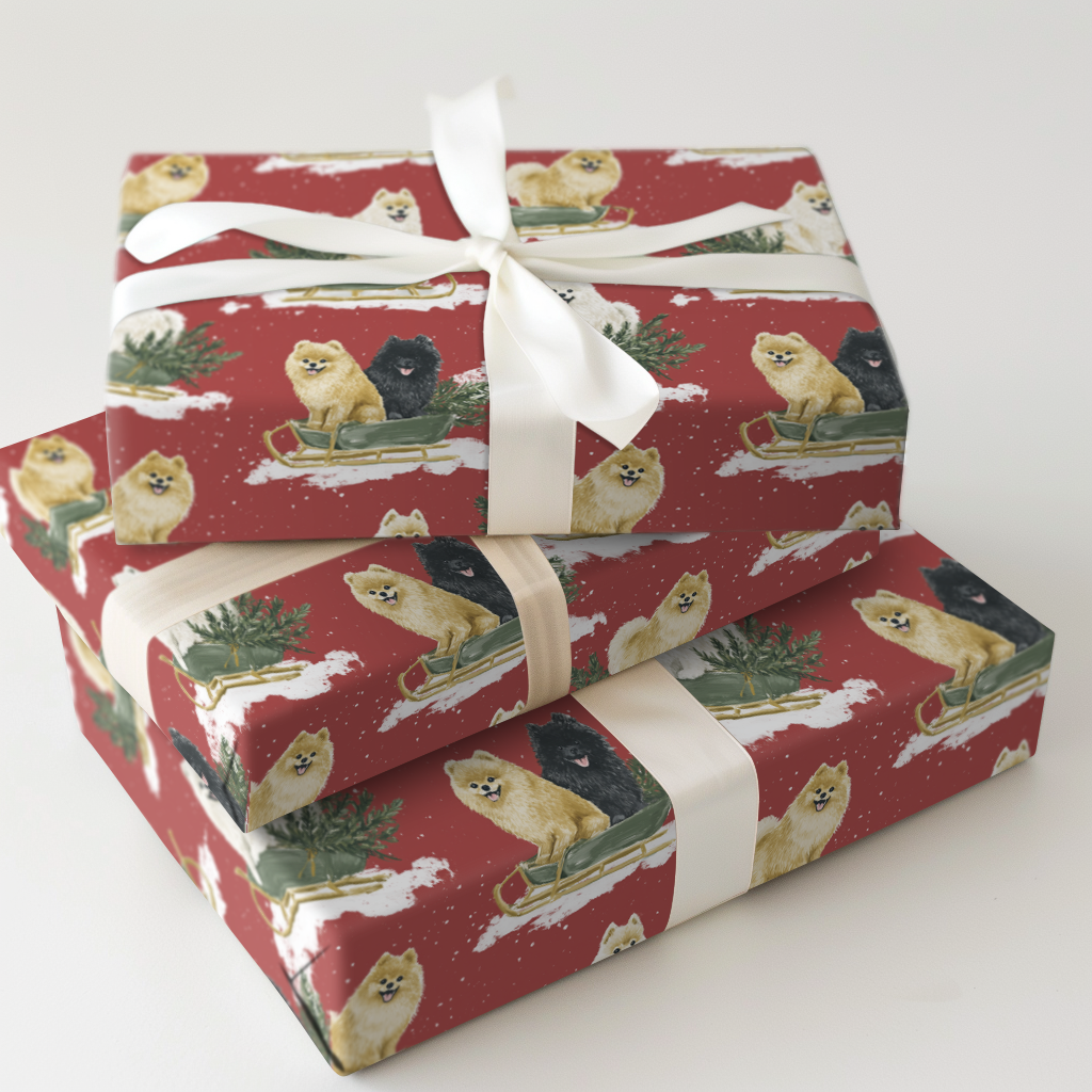 Pomeranian Sleigh Ride
