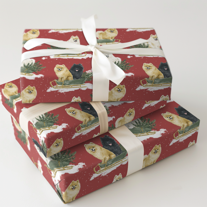 Pomeranian Sleigh Ride