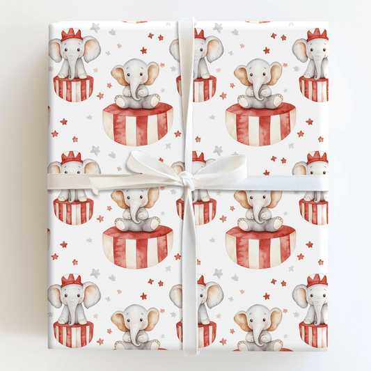 Big Top Star - Wrapping Paper - Aspen & Arlo