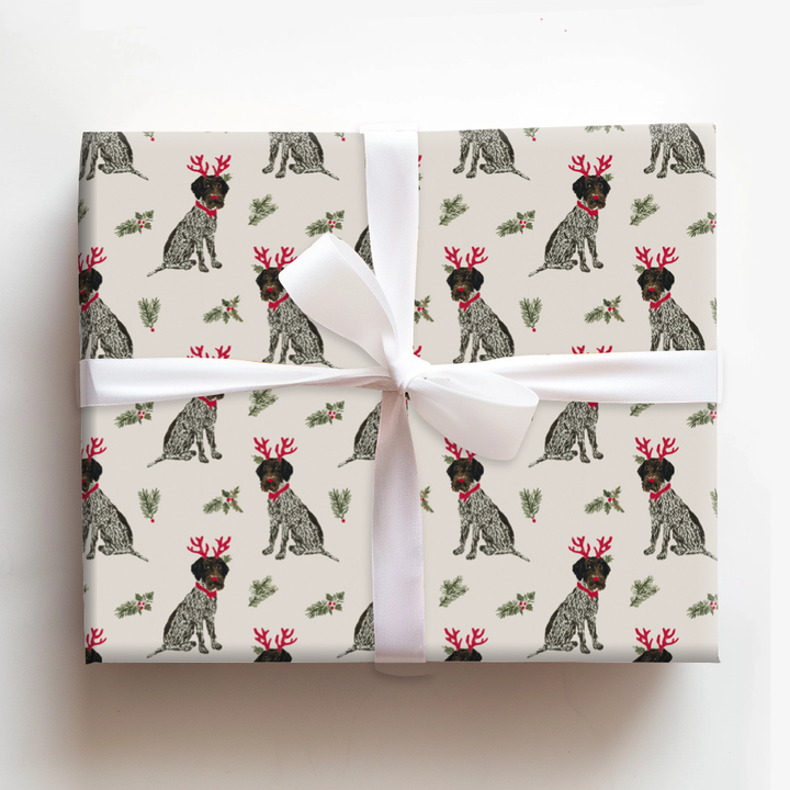 Wirehaired Reindeers