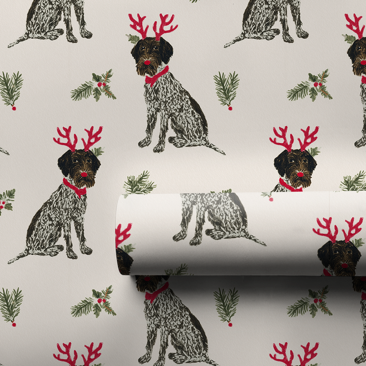 Wirehaired Reindeers