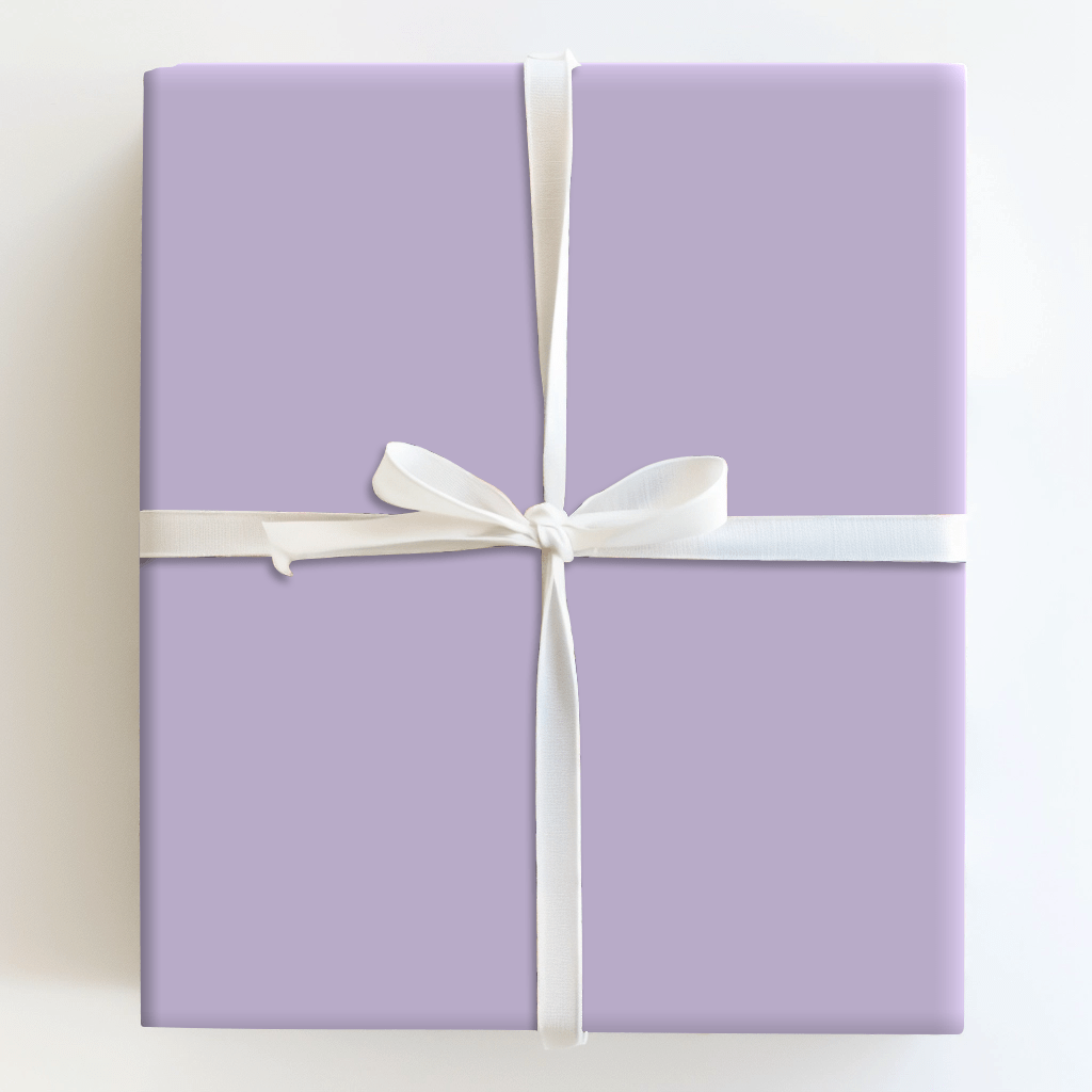 Coastal Shells - Wrapping Paper - Aspen & Arlo