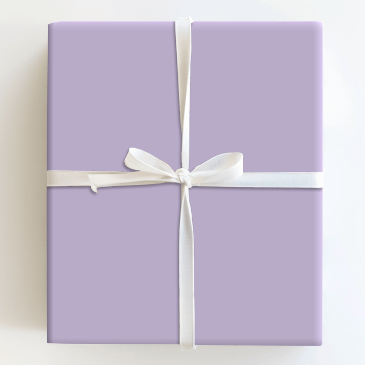 Coastal Shells - Wrapping Paper - Aspen & Arlo