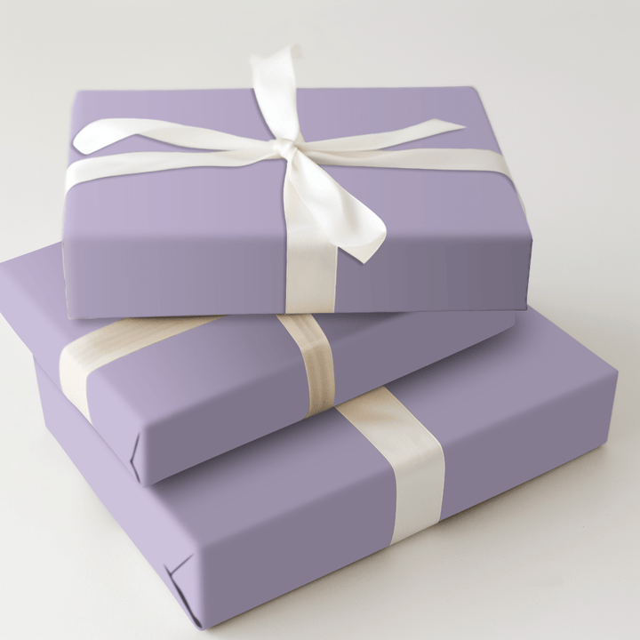 Coastal Shells - Wrapping Paper - Aspen & Arlo