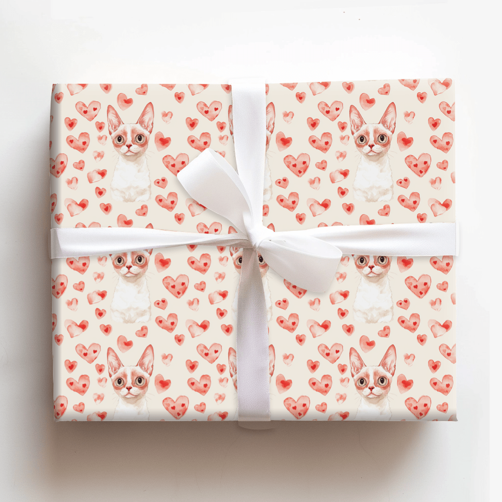 Devon Rex Valentine - Wrapping Paper - Aspen & Arlo