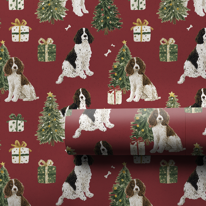 Springer Spaniels at Christmastime
