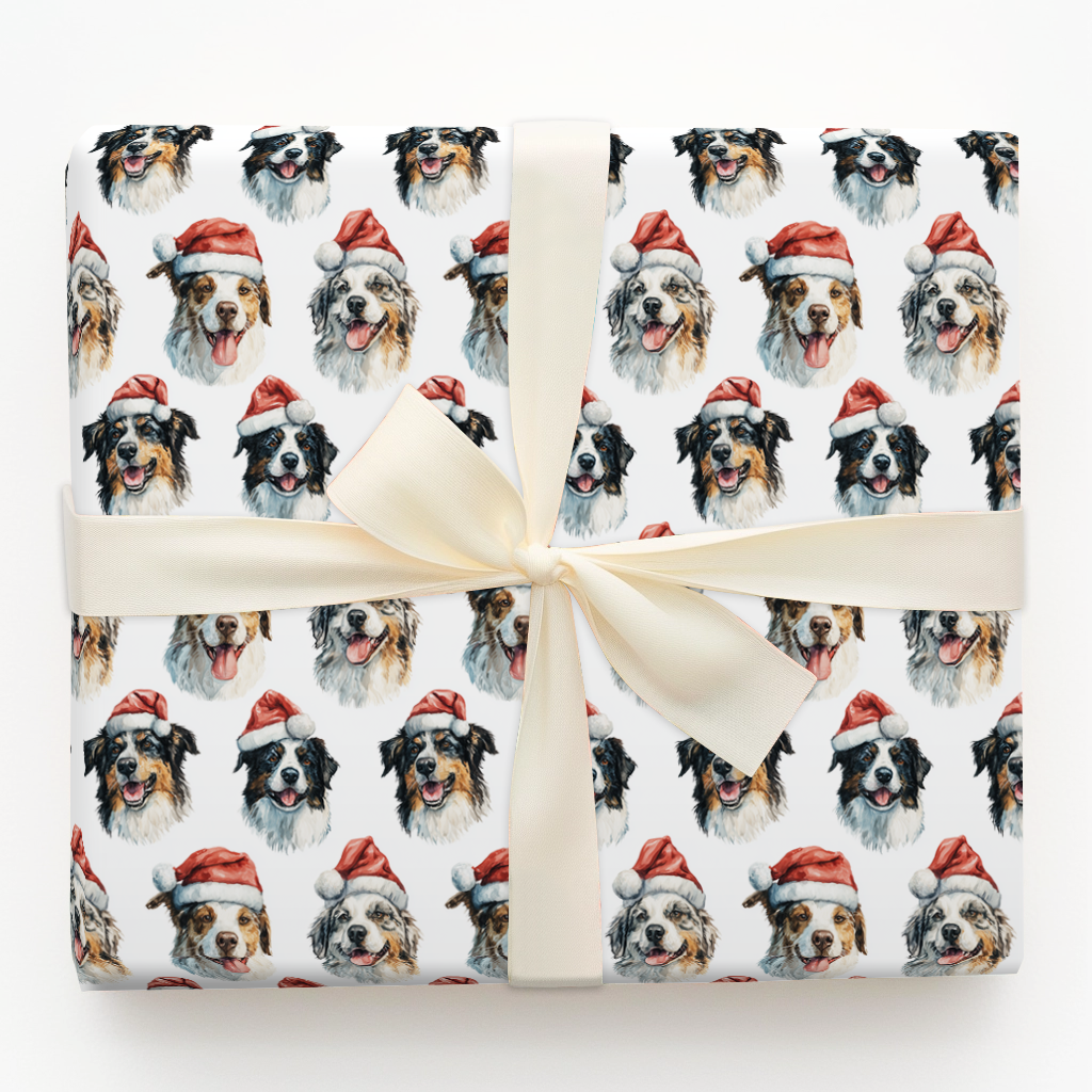 Austrailian Shepherd Claus
