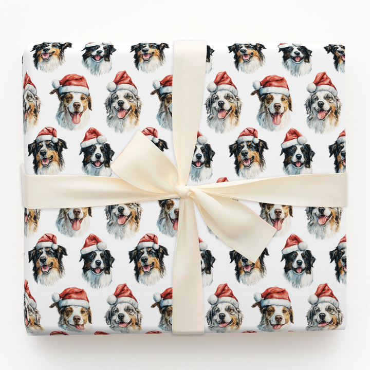 Austrailian Shepherd Claus