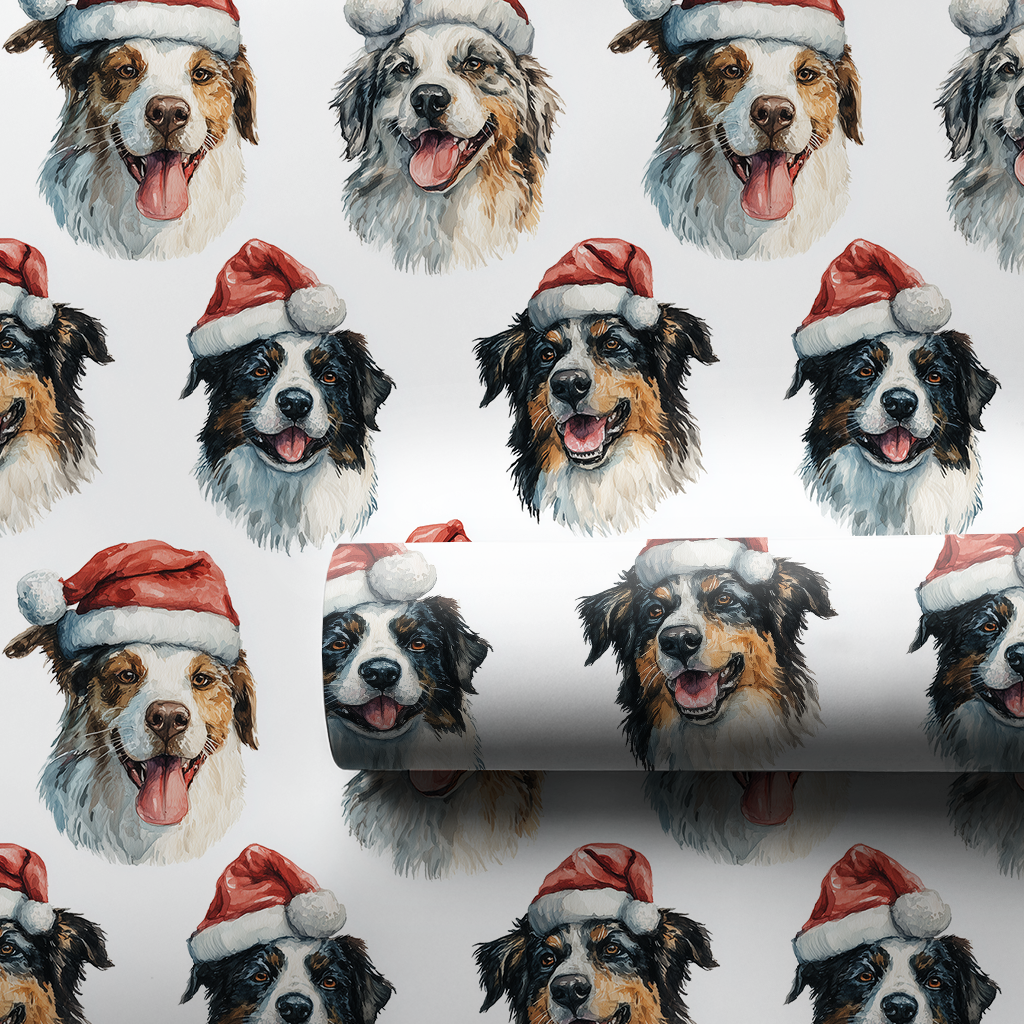 Austrailian Shepherd Claus
