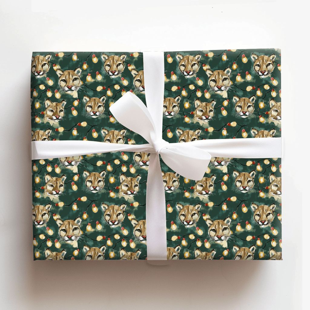 Silk and Shine - Wrapping Paper - Aspen & Arlo