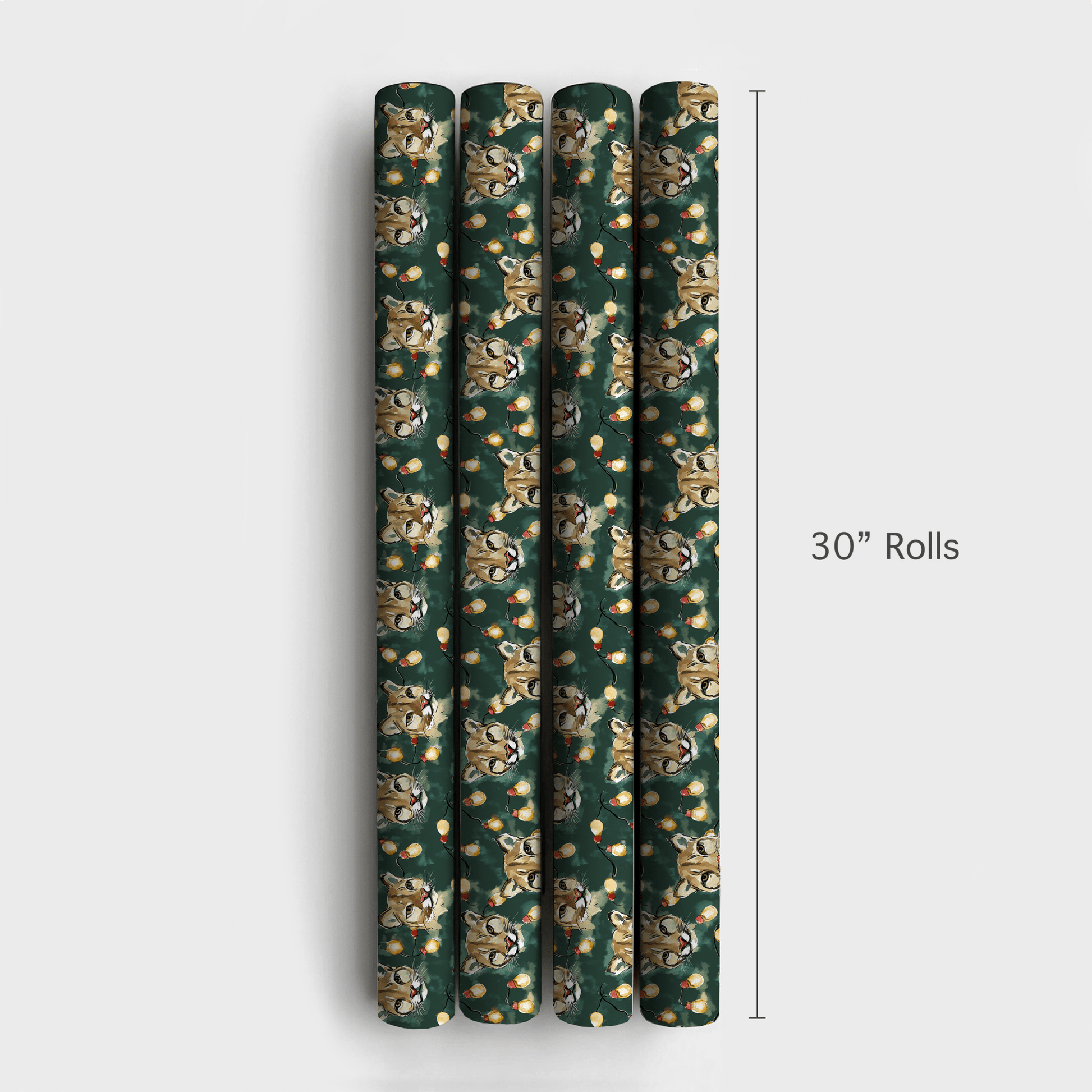 Silk and Shine - Wrapping Paper - Aspen & Arlo