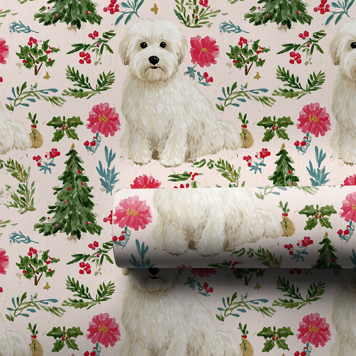 Pretty Little Coton