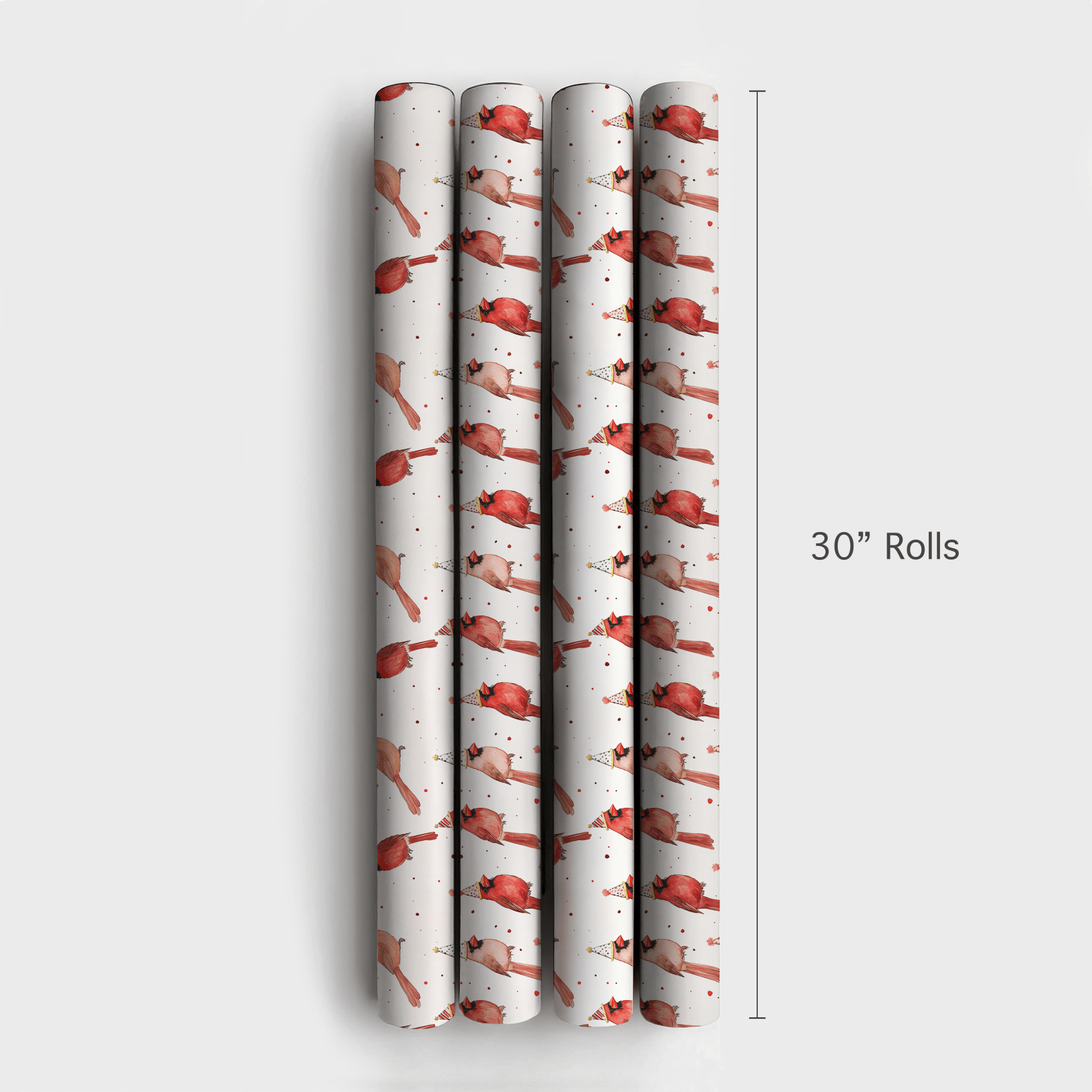 Party on Wings - Wrapping Paper - Aspen & Arlo