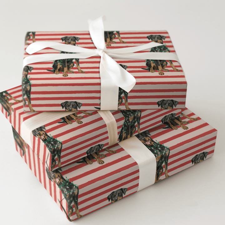Decked Out Dobermans - Wrapping Paper - Aspen & Arlo