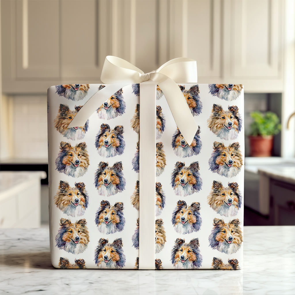 Shetland Sheepdog