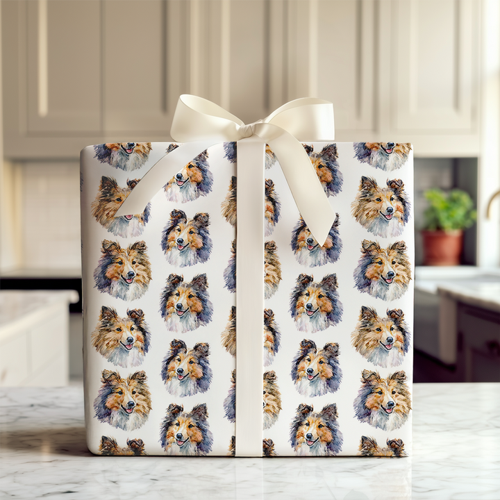Shetland Sheepdog