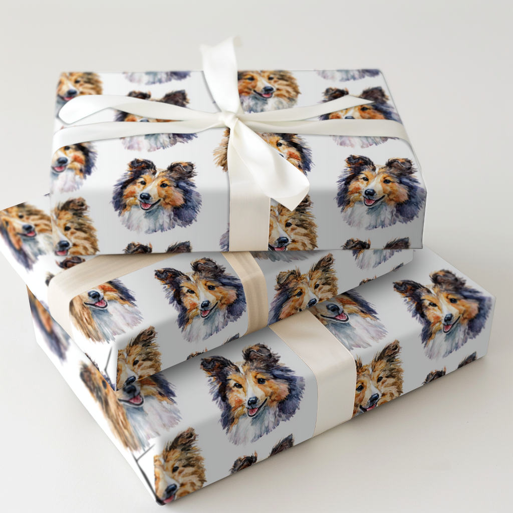 Shetland Sheepdog