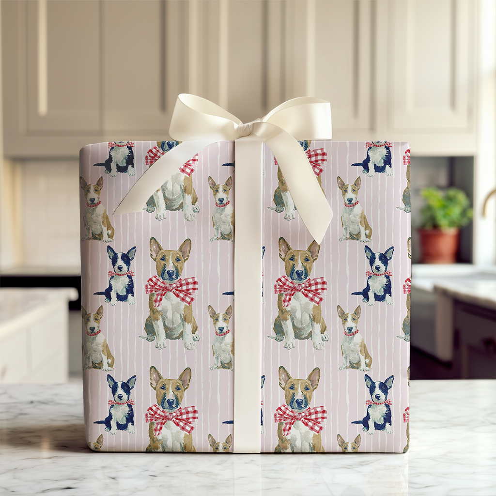 Wrapped Up Bull Terriers