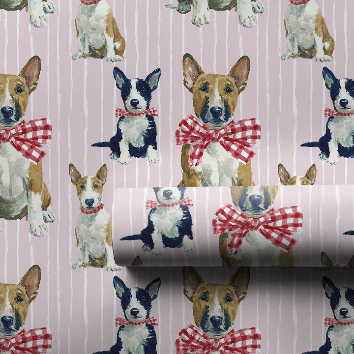 Wrapped Up Bull Terriers