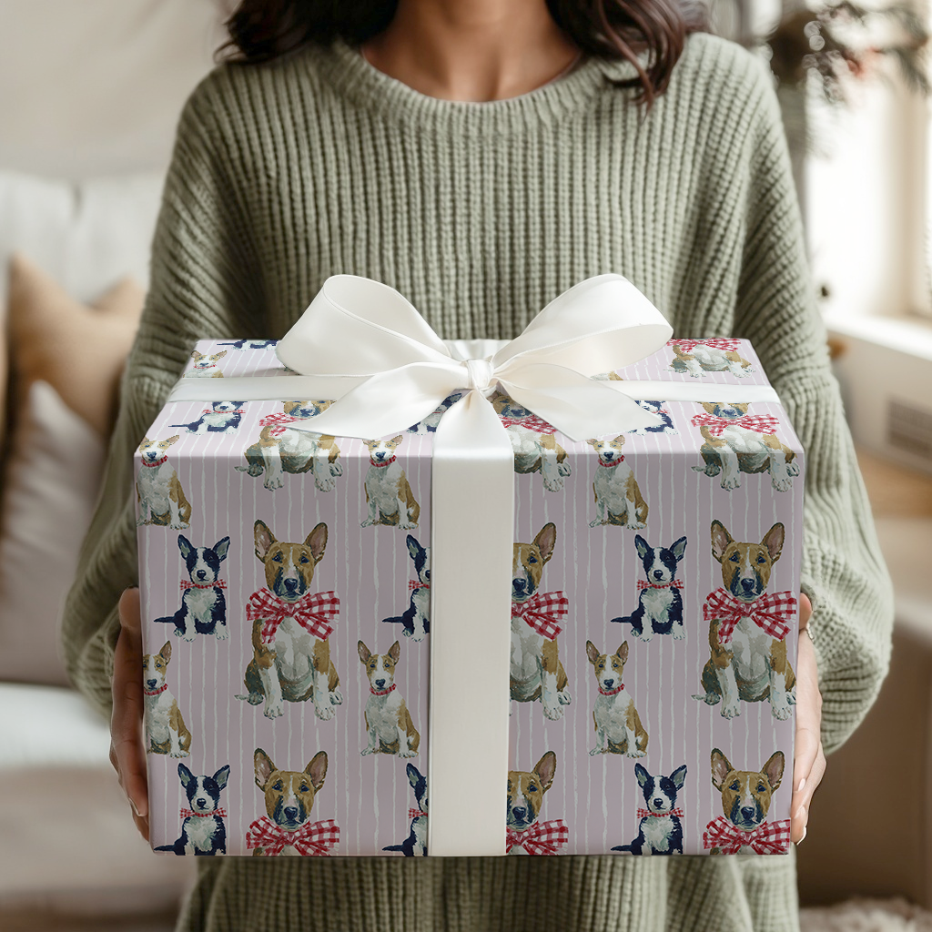 Wrapped Up Bull Terriers