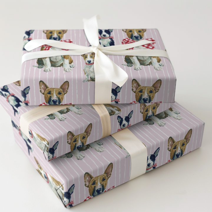 Wrapped Up Bull Terriers