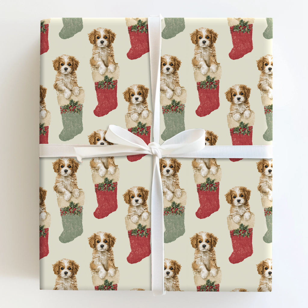 Stockings Stuffed with Cavapoos