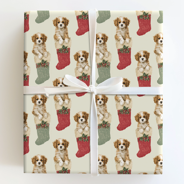 Stockings Stuffed with Cavapoos